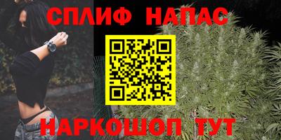 дмт Донской