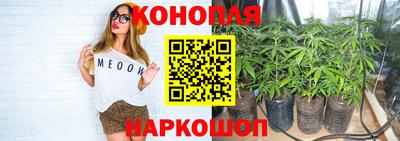 дмт Донской