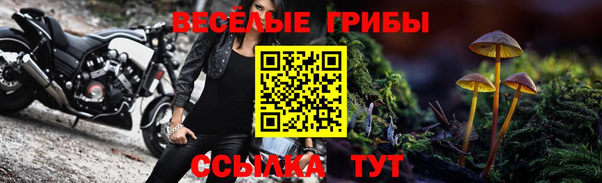 Липецк  Галлюциногенные грибы прущие грибы  Вход с VPN 